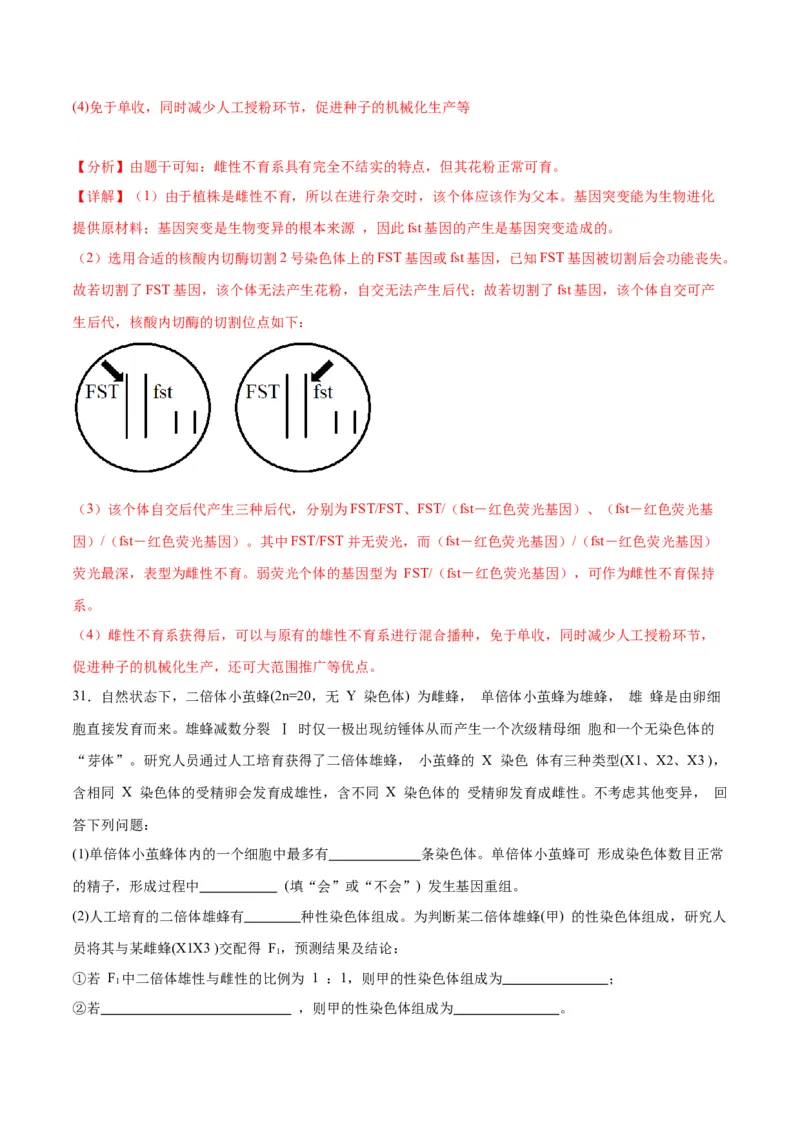 专题23生物的变异（解析版)_2024年新高考资料_3.2024专项复习_备战2024年高考生物一轮复习重难点专项突破_专题23生物的变异-备战2024年高考生物一轮复习重难点专项突破