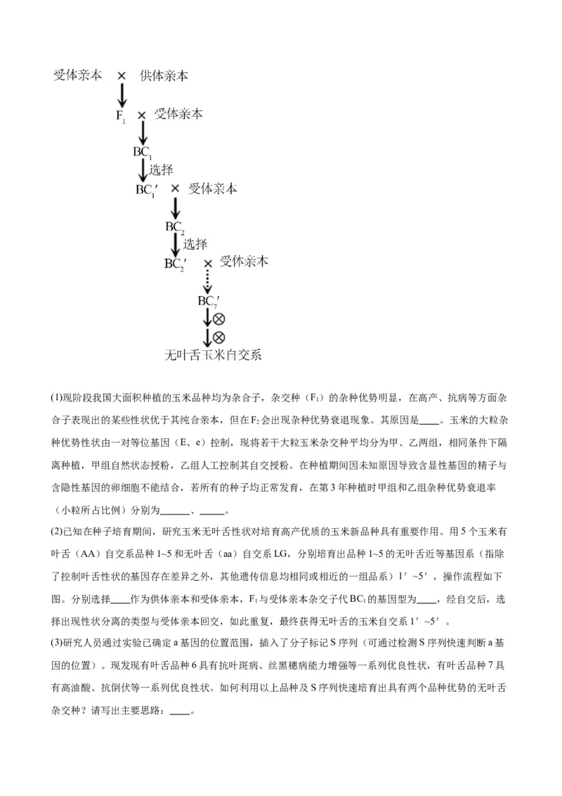 专题23生物的变异（解析版)_2024年新高考资料_3.2024专项复习_备战2024年高考生物一轮复习重难点专项突破_专题23生物的变异-备战2024年高考生物一轮复习重难点专项突破