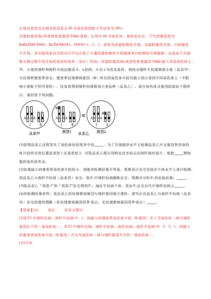 专题23生物的变异（解析版)_2024年新高考资料_3.2024专项复习_备战2024年高考生物一轮复习重难点专项突破_专题23生物的变异-备战2024年高考生物一轮复习重难点专项突破
