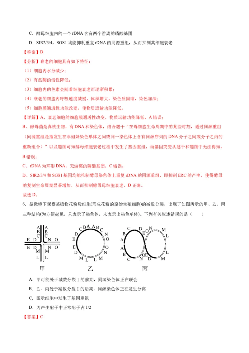 专题23生物的变异（解析版)_2024年新高考资料_3.2024专项复习_备战2024年高考生物一轮复习重难点专项突破_专题23生物的变异-备战2024年高考生物一轮复习重难点专项突破
