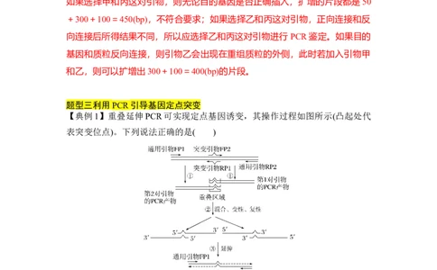 专题八PCR重难集训（解析版）_2024年新高考资料_5.2024三轮冲刺_2024年高考生物考前最后冲刺