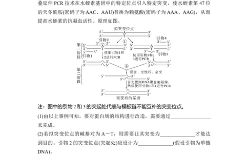 专题八PCR重难集训（解析版）_2024年新高考资料_5.2024三轮冲刺_2024年高考生物考前最后冲刺