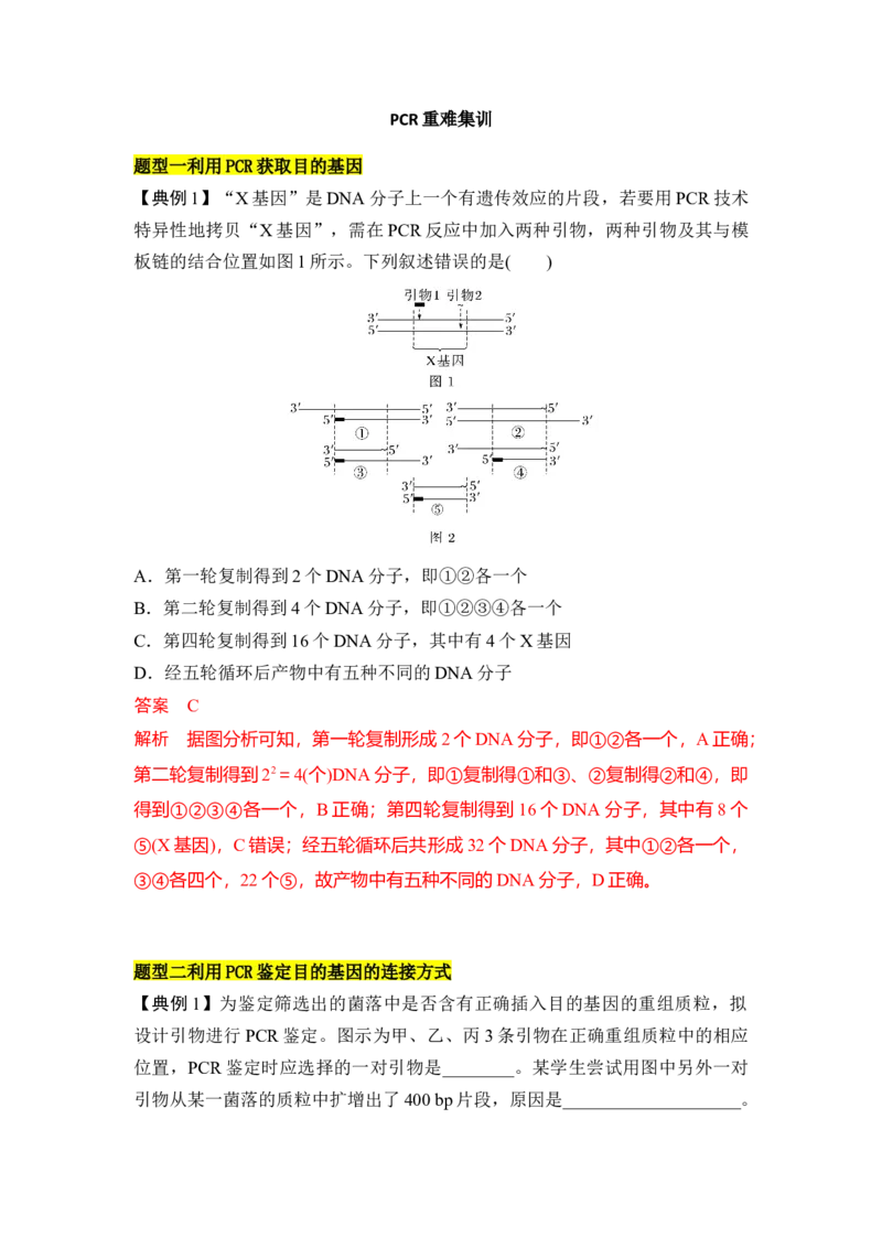 专题八PCR重难集训（解析版）_2024年新高考资料_5.2024三轮冲刺_2024年高考生物考前最后冲刺