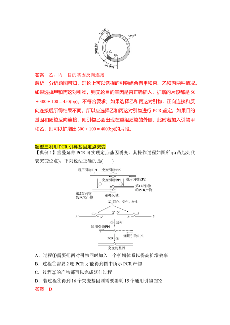 专题八PCR重难集训（解析版）_2024年新高考资料_5.2024三轮冲刺_2024年高考生物考前最后冲刺