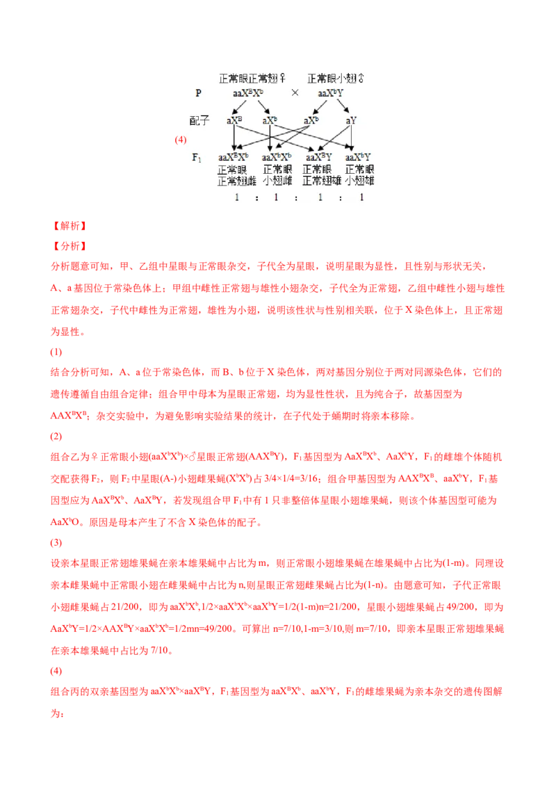 专题06基因的分离定律和自由组合定律-2022年高考真题和模拟题生物分专题训练（教师版含解析）_2024年新高考资料_1.2024一轮复习_赠2022年高考生物真题与模拟题分类
