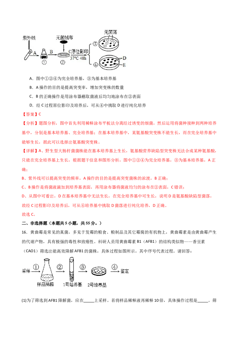 单元检测卷10生物技术与工程（解析版）_2024年新高考资料_1.2024一轮复习_2024年高考生物一轮复习考点通关卷（新高考通用）