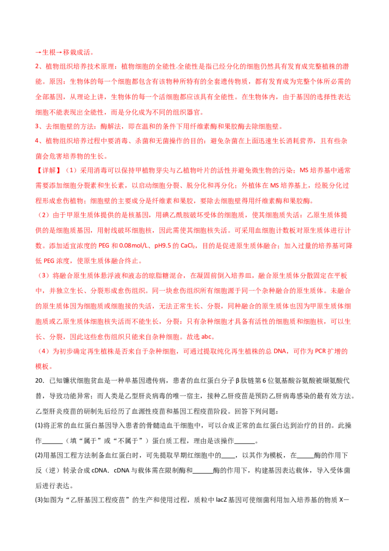 单元检测卷10生物技术与工程（解析版）_2024年新高考资料_1.2024一轮复习_2024年高考生物一轮复习考点通关卷（新高考通用）