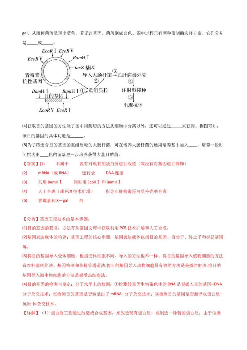 单元检测卷10生物技术与工程（解析版）_2024年新高考资料_1.2024一轮复习_2024年高考生物一轮复习考点通关卷（新高考通用）