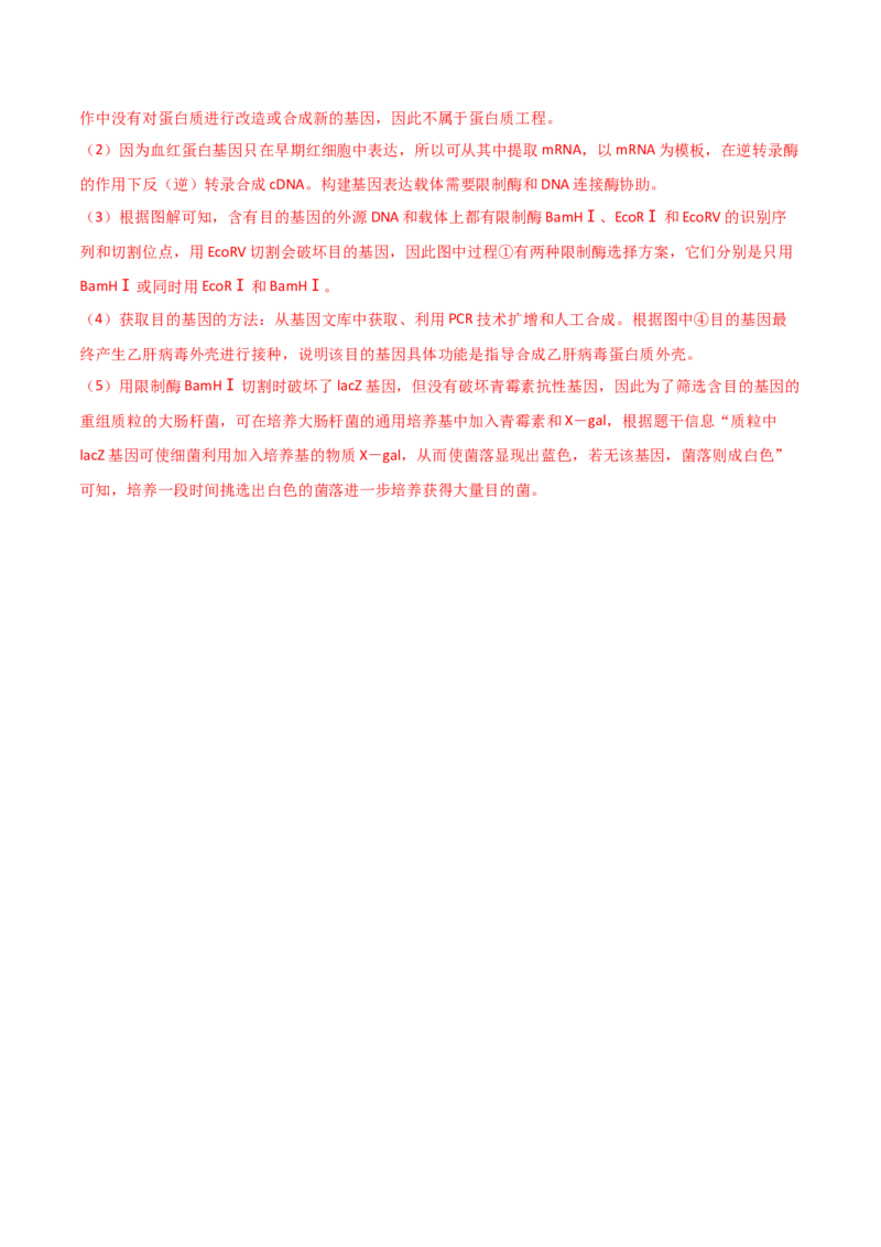 单元检测卷10生物技术与工程（解析版）_2024年新高考资料_1.2024一轮复习_2024年高考生物一轮复习考点通关卷（新高考通用）