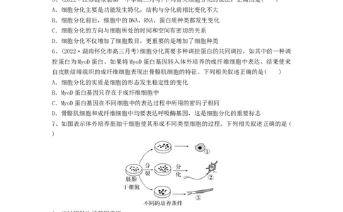 专题13细胞的分化、衰老和死亡（精练）（原卷版）_2024年新高考资料_1.2024一轮复习_备战2024年高考生物一轮复习串讲精练（新高考专用）