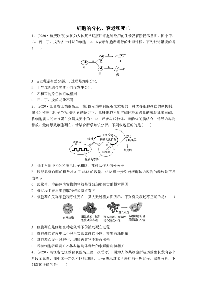 专题13细胞的分化、衰老和死亡（精练）（原卷版）_2024年新高考资料_1.2024一轮复习_备战2024年高考生物一轮复习串讲精练（新高考专用）