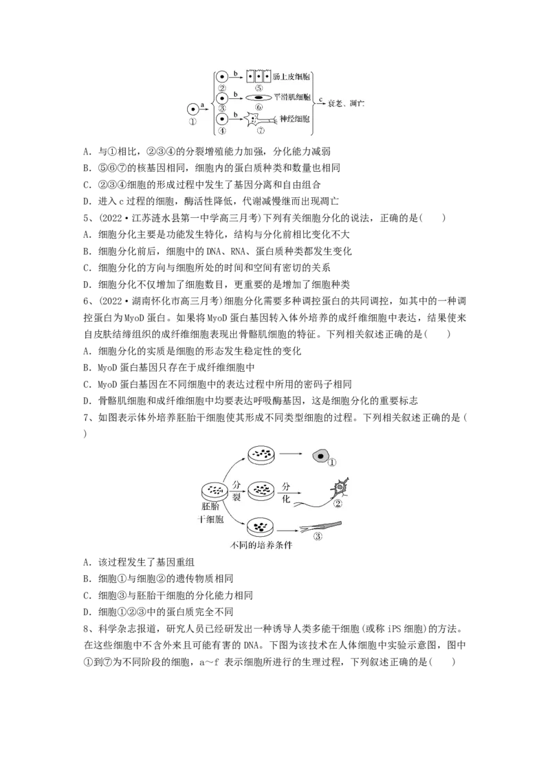 专题13细胞的分化、衰老和死亡（精练）（原卷版）_2024年新高考资料_1.2024一轮复习_备战2024年高考生物一轮复习串讲精练（新高考专用）