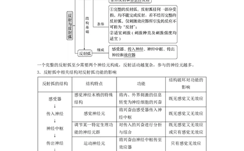 专题24神经调节（串讲）（原卷版）_2024年新高考资料_1.2024一轮复习_备战2024年高考生物一轮复习串讲精练（新高考专用）