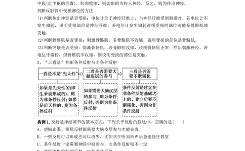 专题24神经调节（串讲）（原卷版）_2024年新高考资料_1.2024一轮复习_备战2024年高考生物一轮复习串讲精练（新高考专用）