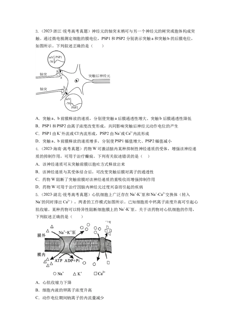专题24神经调节（串讲）（原卷版）_2024年新高考资料_1.2024一轮复习_备战2024年高考生物一轮复习串讲精练（新高考专用）