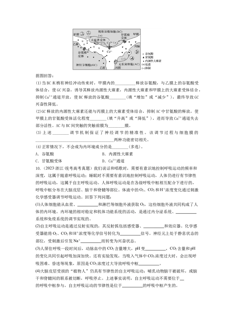 专题24神经调节（串讲）（原卷版）_2024年新高考资料_1.2024一轮复习_备战2024年高考生物一轮复习串讲精练（新高考专用）