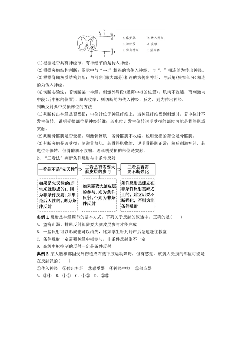 专题24神经调节（串讲）（原卷版）_2024年新高考资料_1.2024一轮复习_备战2024年高考生物一轮复习串讲精练（新高考专用）