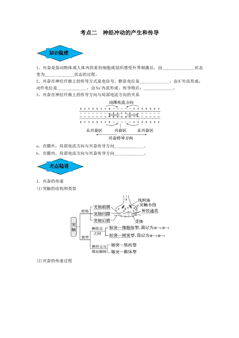 专题24神经调节（串讲）（原卷版）_2024年新高考资料_1.2024一轮复习_备战2024年高考生物一轮复习串讲精练（新高考专用）