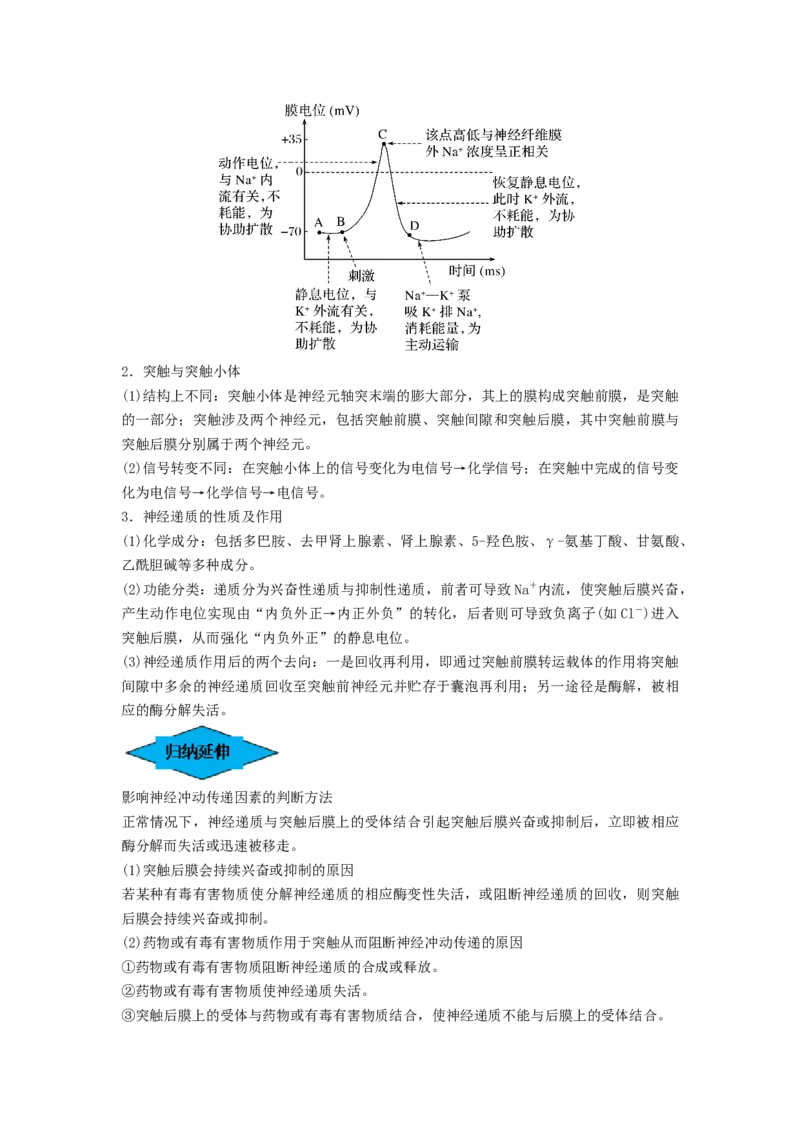 专题24神经调节（串讲）（原卷版）_2024年新高考资料_1.2024一轮复习_备战2024年高考生物一轮复习串讲精练（新高考专用）
