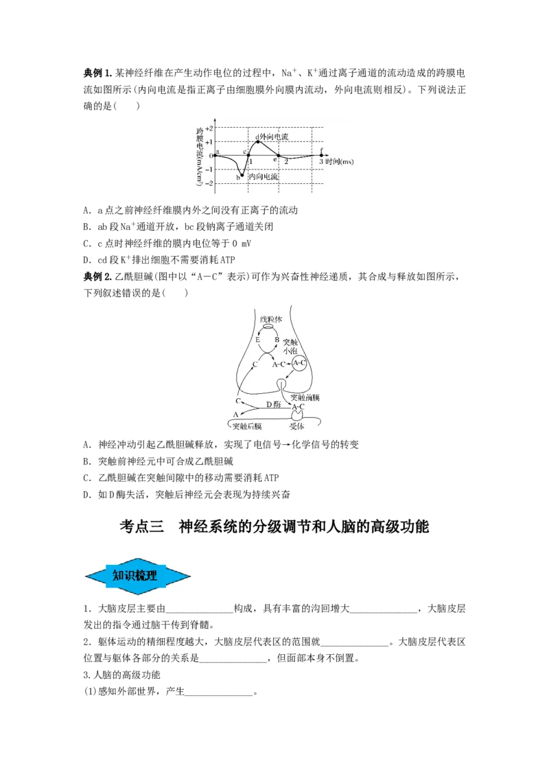 专题24神经调节（串讲）（原卷版）_2024年新高考资料_1.2024一轮复习_备战2024年高考生物一轮复习串讲精练（新高考专用）