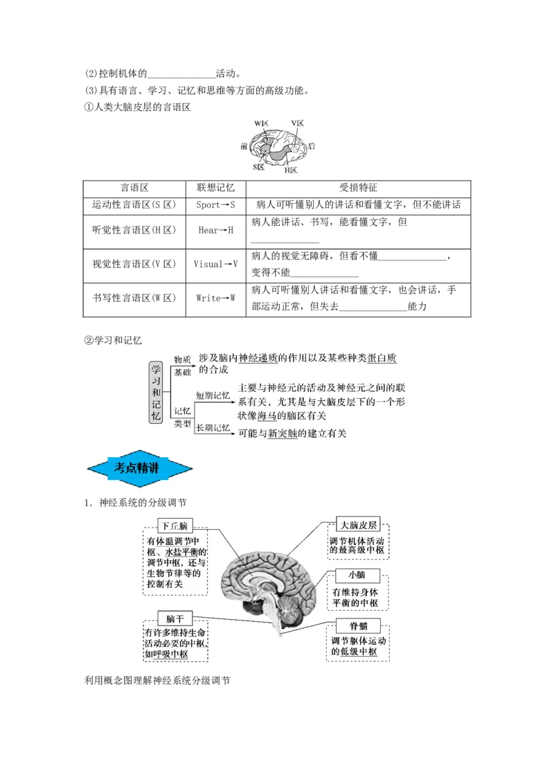 专题24神经调节（串讲）（原卷版）_2024年新高考资料_1.2024一轮复习_备战2024年高考生物一轮复习串讲精练（新高考专用）