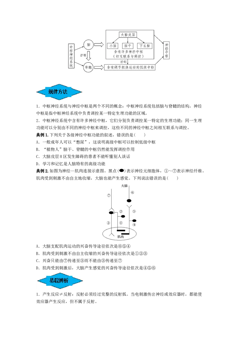 专题24神经调节（串讲）（原卷版）_2024年新高考资料_1.2024一轮复习_备战2024年高考生物一轮复习串讲精练（新高考专用）