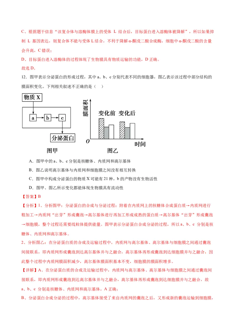 专题6细胞器和生物膜系统（解析版)_2024年新高考资料_3.2024专项复习_备战2024年高考生物一轮复习重难点专项突破_专题06细胞器和生物膜系统-备战2024年高考生物一轮复习重难点专项突破