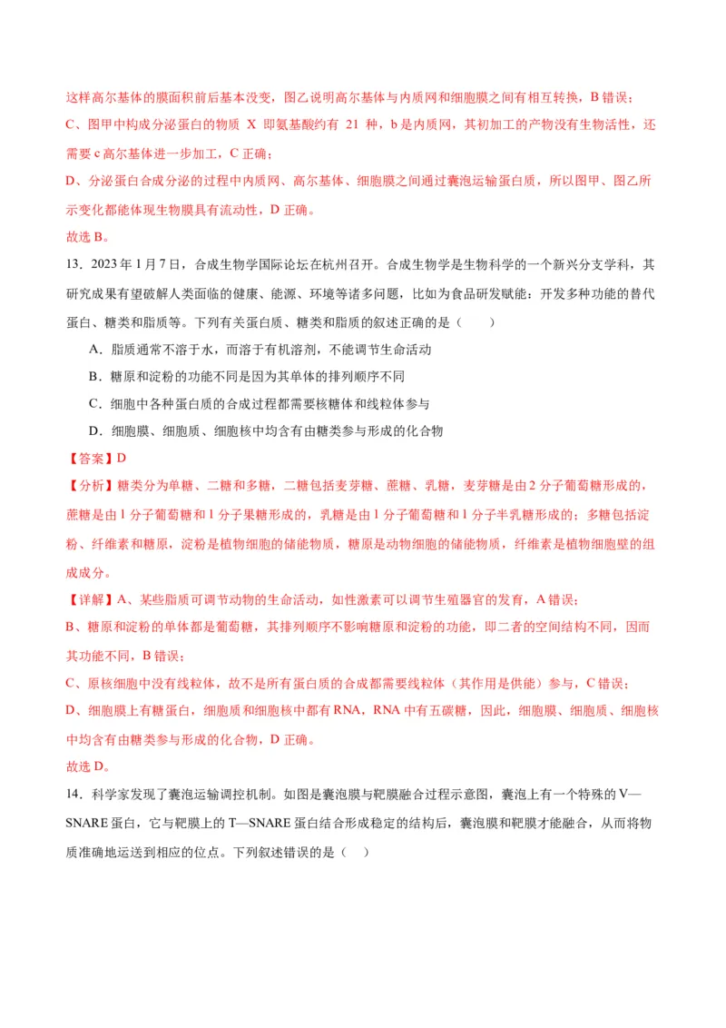 专题6细胞器和生物膜系统（解析版)_2024年新高考资料_3.2024专项复习_备战2024年高考生物一轮复习重难点专项突破_专题06细胞器和生物膜系统-备战2024年高考生物一轮复习重难点专项突破