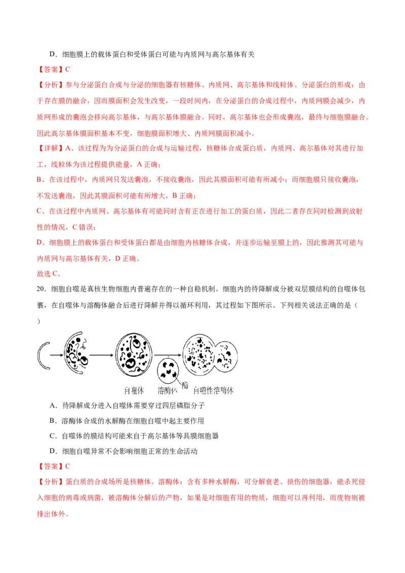 专题6细胞器和生物膜系统（解析版)_2024年新高考资料_3.2024专项复习_备战2024年高考生物一轮复习重难点专项突破_专题06细胞器和生物膜系统-备战2024年高考生物一轮复习重难点专项突破