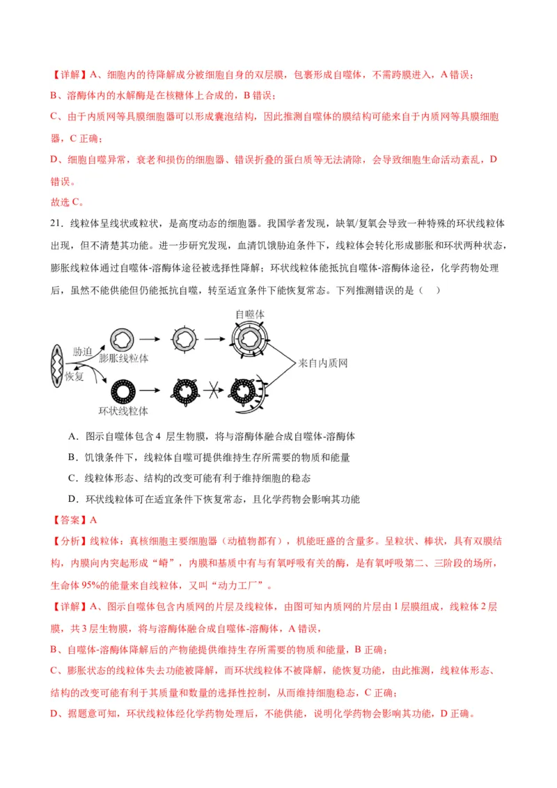 专题6细胞器和生物膜系统（解析版)_2024年新高考资料_3.2024专项复习_备战2024年高考生物一轮复习重难点专项突破_专题06细胞器和生物膜系统-备战2024年高考生物一轮复习重难点专项突破