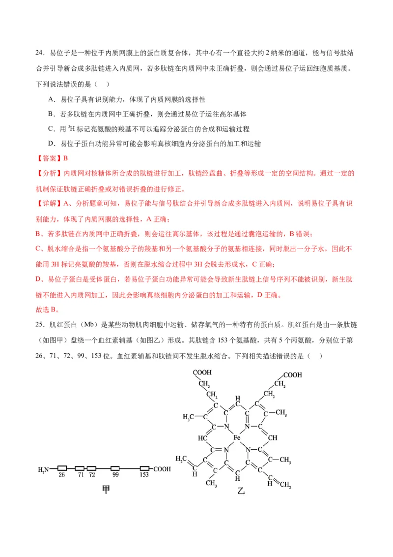 专题6细胞器和生物膜系统（解析版)_2024年新高考资料_3.2024专项复习_备战2024年高考生物一轮复习重难点专项突破_专题06细胞器和生物膜系统-备战2024年高考生物一轮复习重难点专项突破