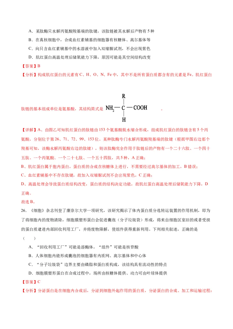 专题6细胞器和生物膜系统（解析版)_2024年新高考资料_3.2024专项复习_备战2024年高考生物一轮复习重难点专项突破_专题06细胞器和生物膜系统-备战2024年高考生物一轮复习重难点专项突破