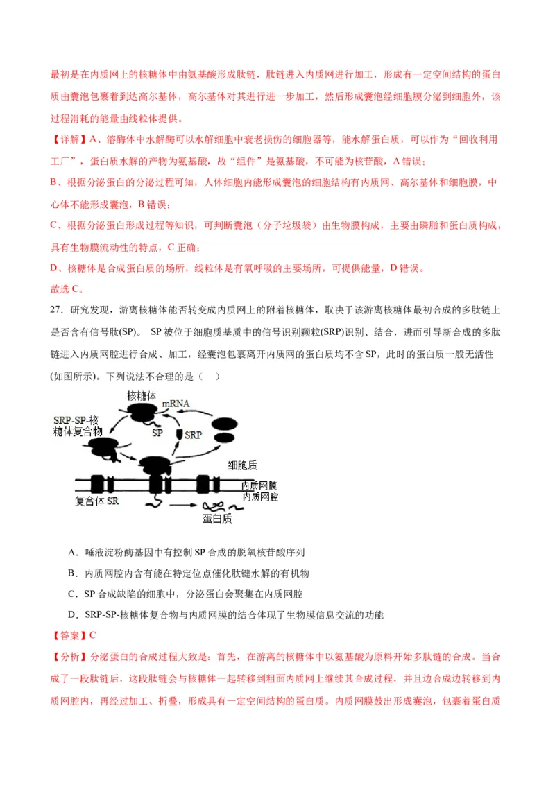 专题6细胞器和生物膜系统（解析版)_2024年新高考资料_3.2024专项复习_备战2024年高考生物一轮复习重难点专项突破_专题06细胞器和生物膜系统-备战2024年高考生物一轮复习重难点专项突破