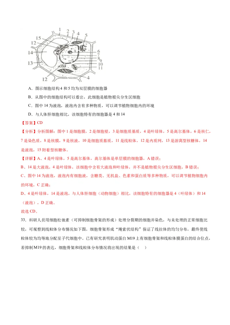 专题6细胞器和生物膜系统（解析版)_2024年新高考资料_3.2024专项复习_备战2024年高考生物一轮复习重难点专项突破_专题06细胞器和生物膜系统-备战2024年高考生物一轮复习重难点专项突破