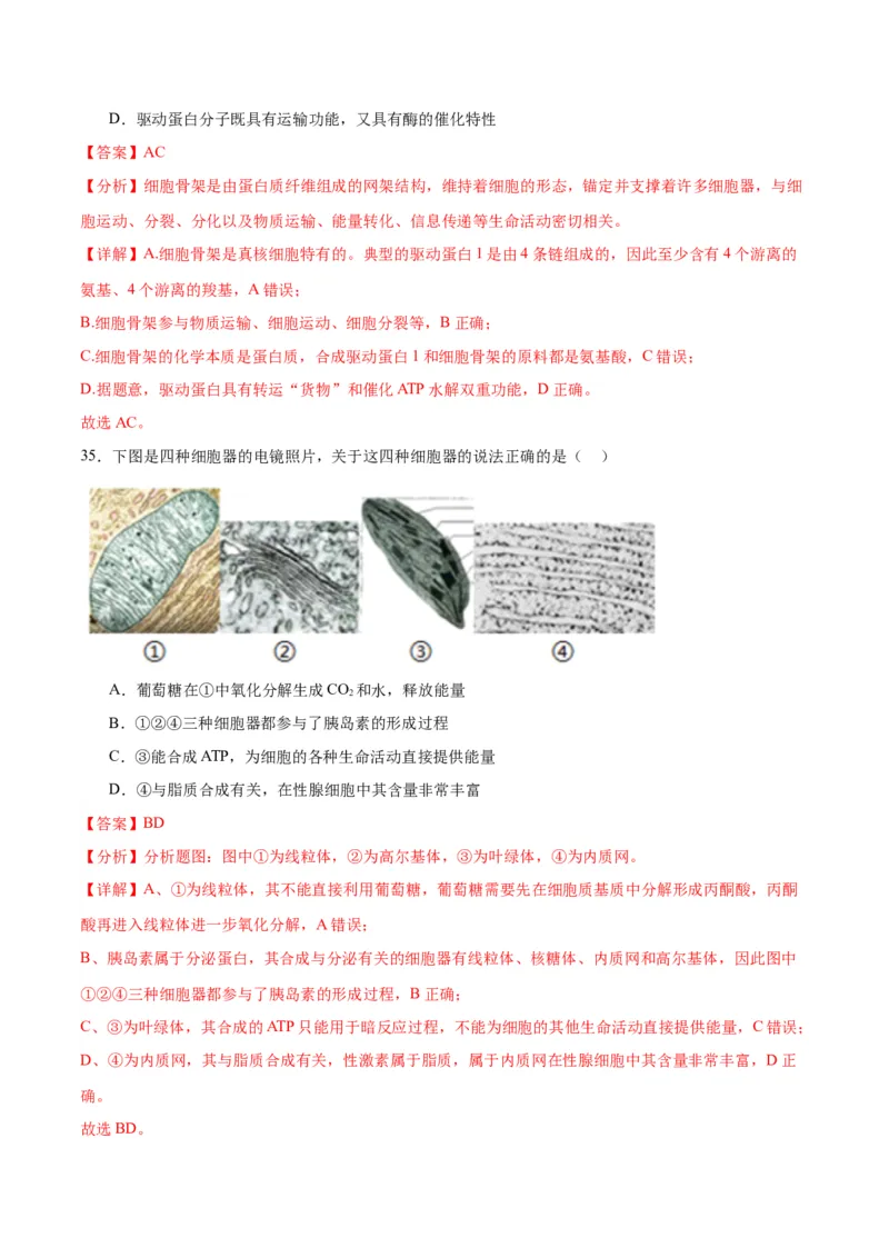 专题6细胞器和生物膜系统（解析版)_2024年新高考资料_3.2024专项复习_备战2024年高考生物一轮复习重难点专项突破_专题06细胞器和生物膜系统-备战2024年高考生物一轮复习重难点专项突破