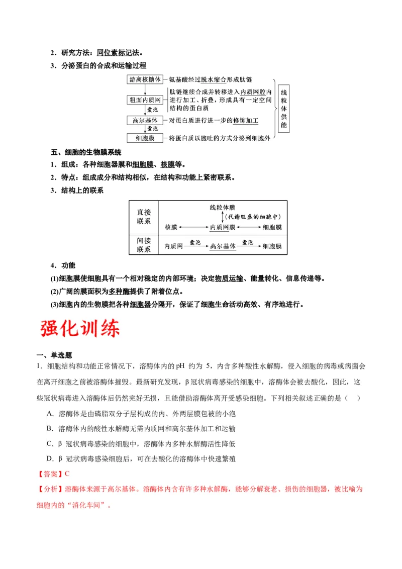 专题6细胞器和生物膜系统（解析版)_2024年新高考资料_3.2024专项复习_备战2024年高考生物一轮复习重难点专项突破_专题06细胞器和生物膜系统-备战2024年高考生物一轮复习重难点专项突破