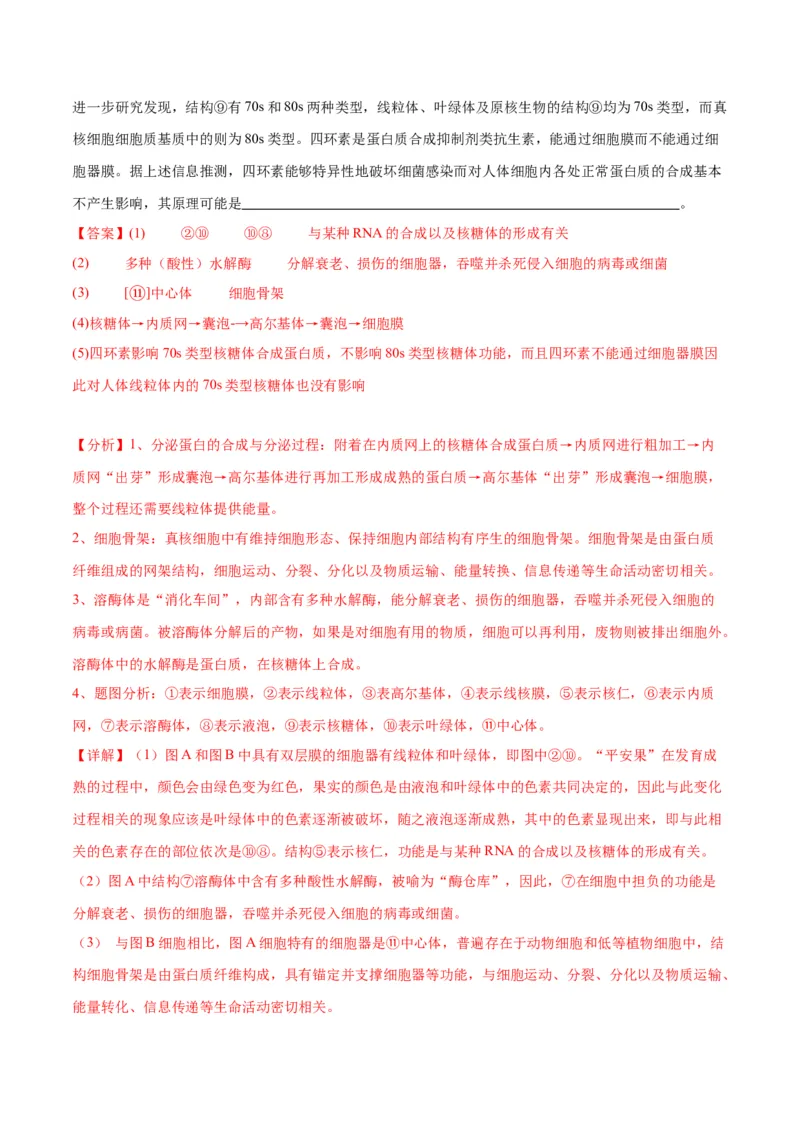 专题6细胞器和生物膜系统（解析版)_2024年新高考资料_3.2024专项复习_备战2024年高考生物一轮复习重难点专项突破_专题06细胞器和生物膜系统-备战2024年高考生物一轮复习重难点专项突破