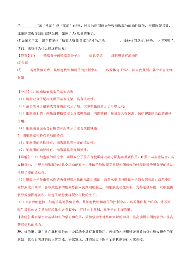 专题6细胞器和生物膜系统（解析版)_2024年新高考资料_3.2024专项复习_备战2024年高考生物一轮复习重难点专项突破_专题06细胞器和生物膜系统-备战2024年高考生物一轮复习重难点专项突破