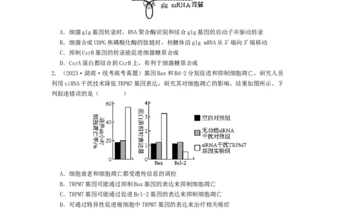 专题14基因的表达（原卷版）_2024年新高考资料_1.2024一轮复习_备战2024年高考生物一轮复习抢分特训（全国通用）_专题14基因的表达-备战2024年高考生物一轮复习抢分特训（全国通用）
