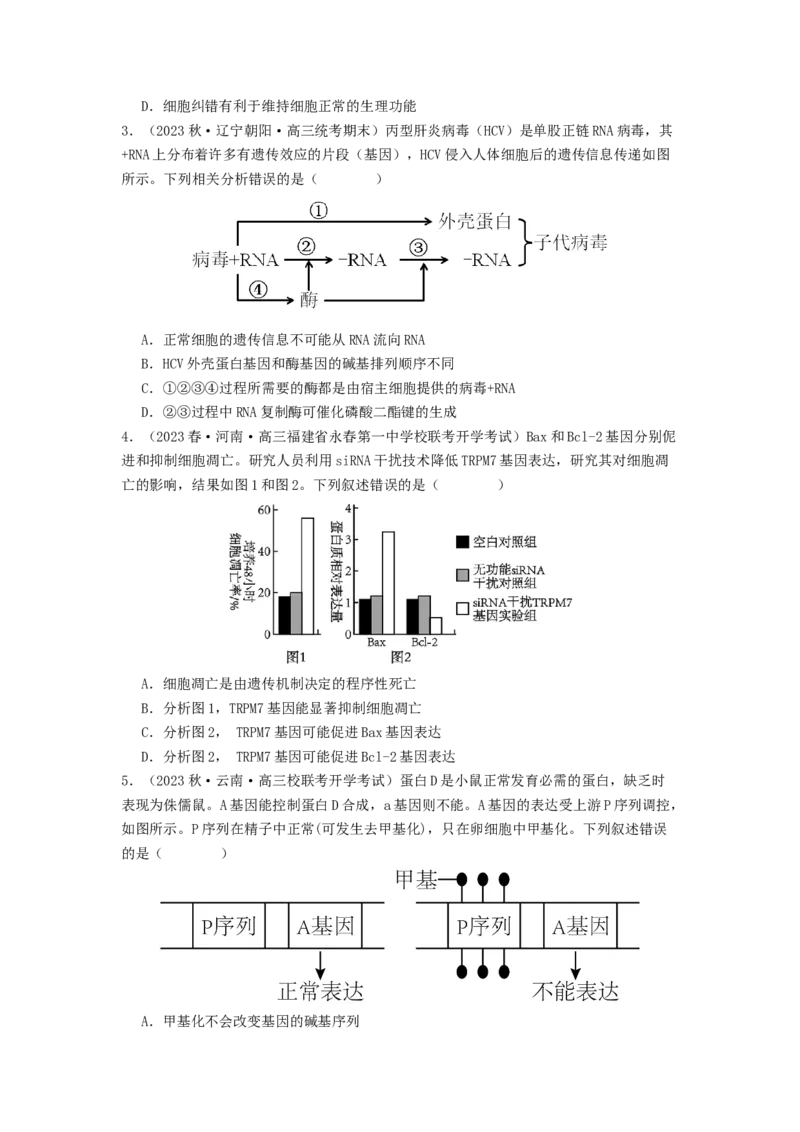 专题14基因的表达（原卷版）_2024年新高考资料_1.2024一轮复习_备战2024年高考生物一轮复习抢分特训（全国通用）_专题14基因的表达-备战2024年高考生物一轮复习抢分特训（全国通用）