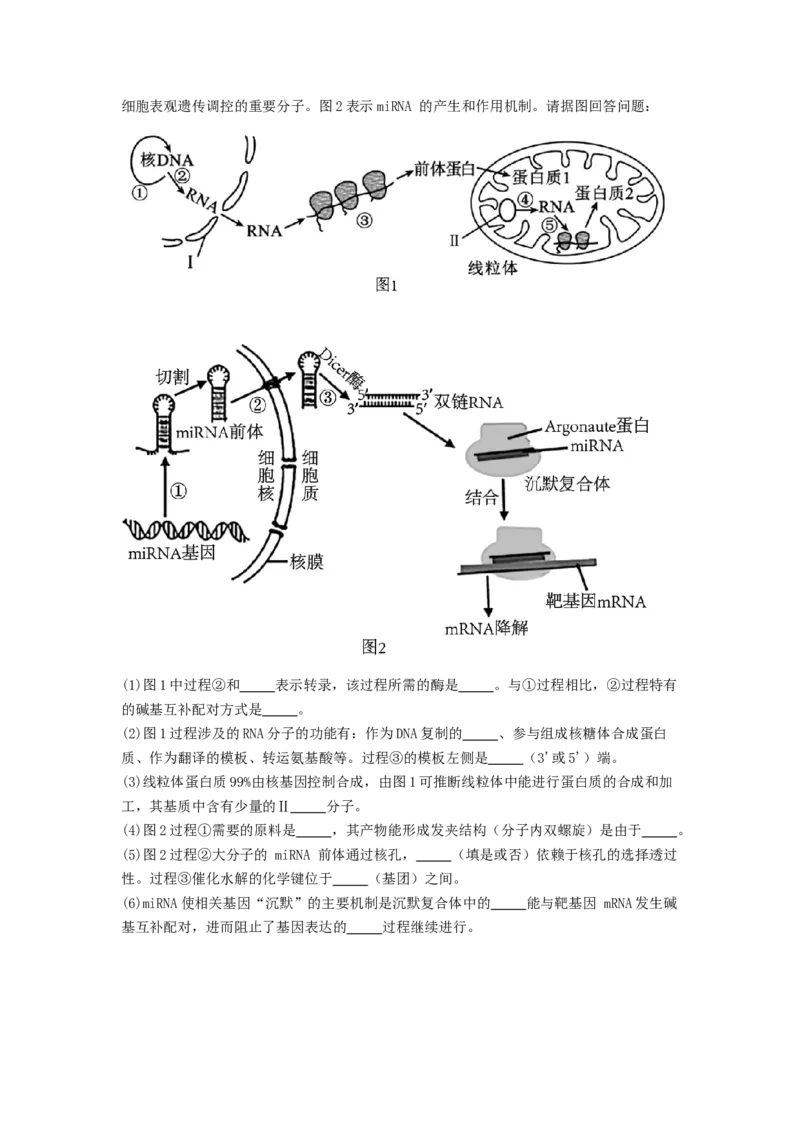 专题14基因的表达（原卷版）_2024年新高考资料_1.2024一轮复习_备战2024年高考生物一轮复习抢分特训（全国通用）_专题14基因的表达-备战2024年高考生物一轮复习抢分特训（全国通用）