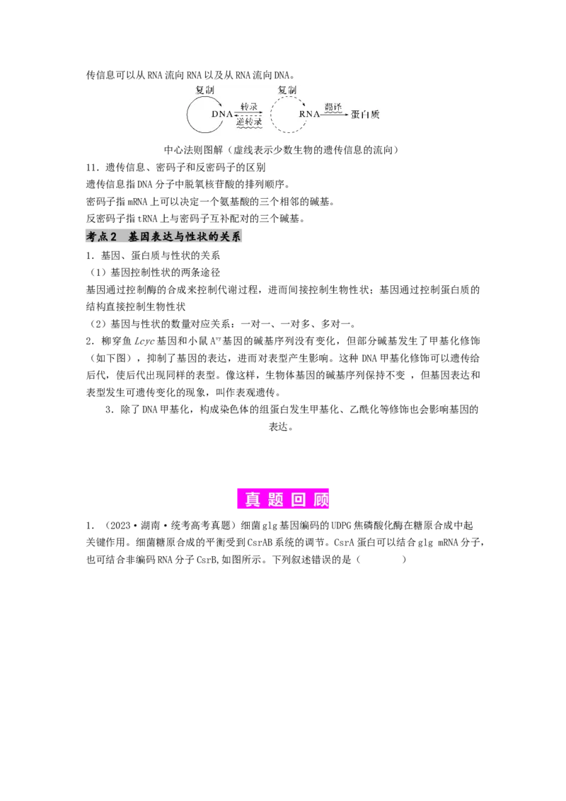 专题14基因的表达（原卷版）_2024年新高考资料_1.2024一轮复习_备战2024年高考生物一轮复习抢分特训（全国通用）_专题14基因的表达-备战2024年高考生物一轮复习抢分特训（全国通用）
