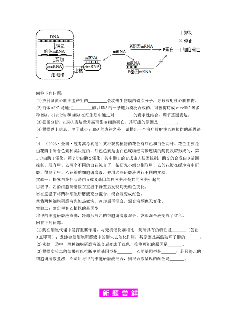 专题14基因的表达（原卷版）_2024年新高考资料_1.2024一轮复习_备战2024年高考生物一轮复习抢分特训（全国通用）_专题14基因的表达-备战2024年高考生物一轮复习抢分特训（全国通用）