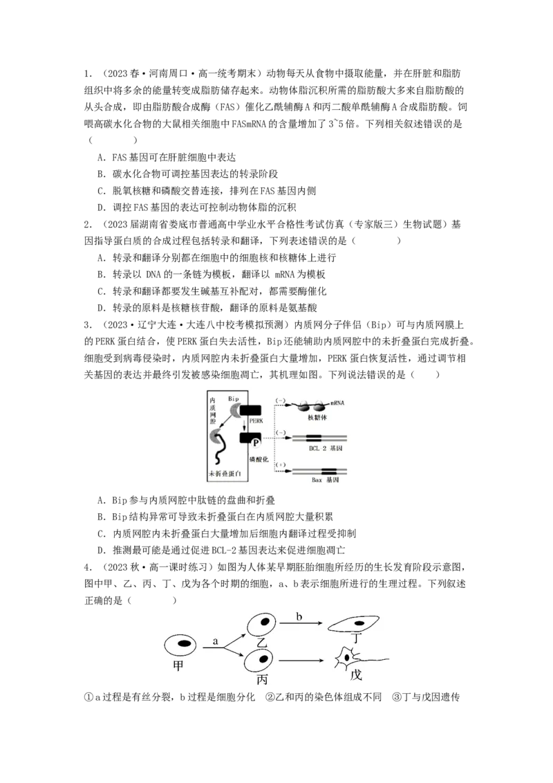 专题14基因的表达（原卷版）_2024年新高考资料_1.2024一轮复习_备战2024年高考生物一轮复习抢分特训（全国通用）_专题14基因的表达-备战2024年高考生物一轮复习抢分特训（全国通用）