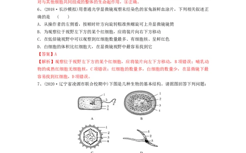 专题01走近细胞（精练）（解析版）_2024年新高考资料_1.2024一轮复习_备战2024年高考生物一轮复习串讲精练（新高考专用）