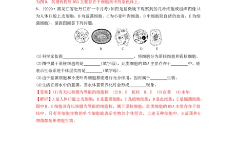专题01走近细胞（精练）（解析版）_2024年新高考资料_1.2024一轮复习_备战2024年高考生物一轮复习串讲精练（新高考专用）