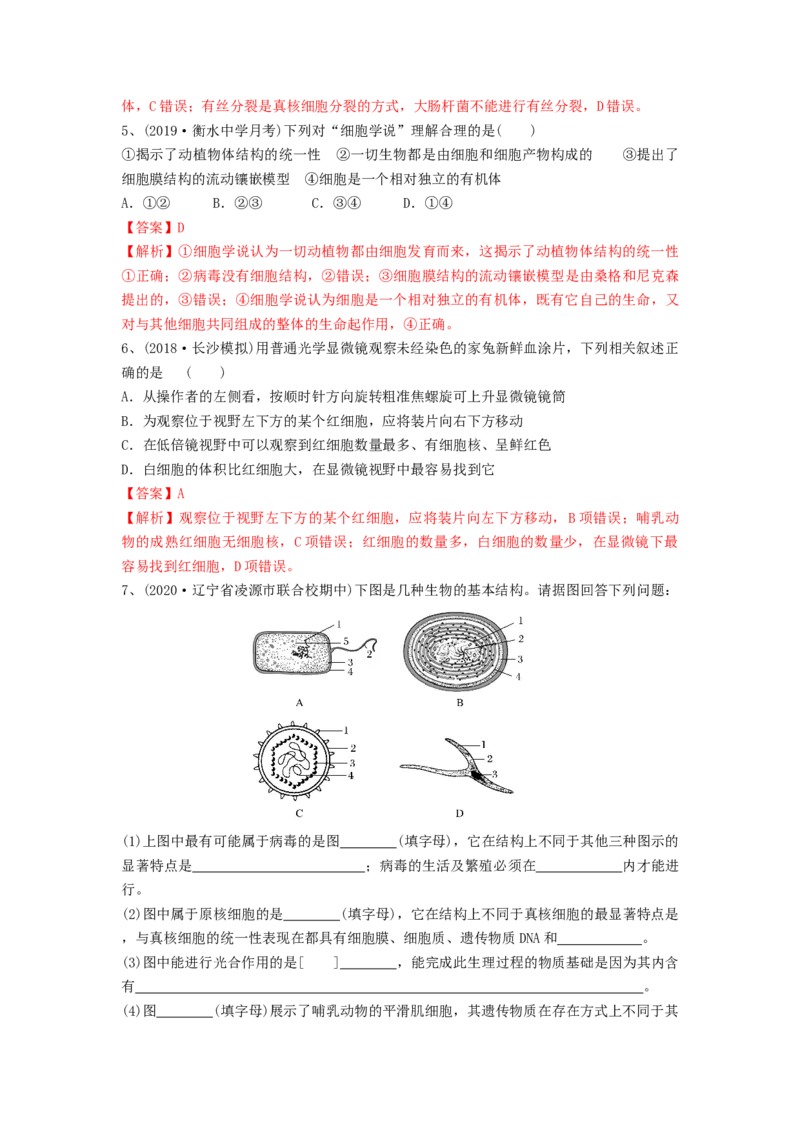 专题01走近细胞（精练）（解析版）_2024年新高考资料_1.2024一轮复习_备战2024年高考生物一轮复习串讲精练（新高考专用）