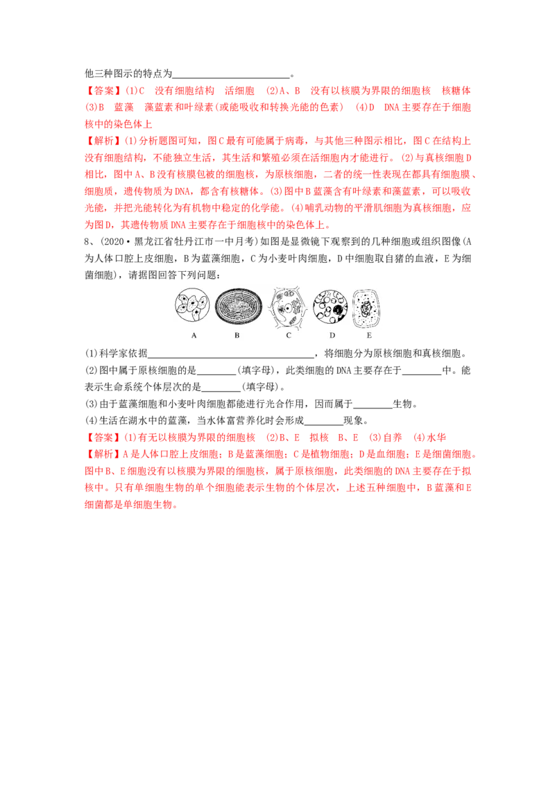 专题01走近细胞（精练）（解析版）_2024年新高考资料_1.2024一轮复习_备战2024年高考生物一轮复习串讲精练（新高考专用）