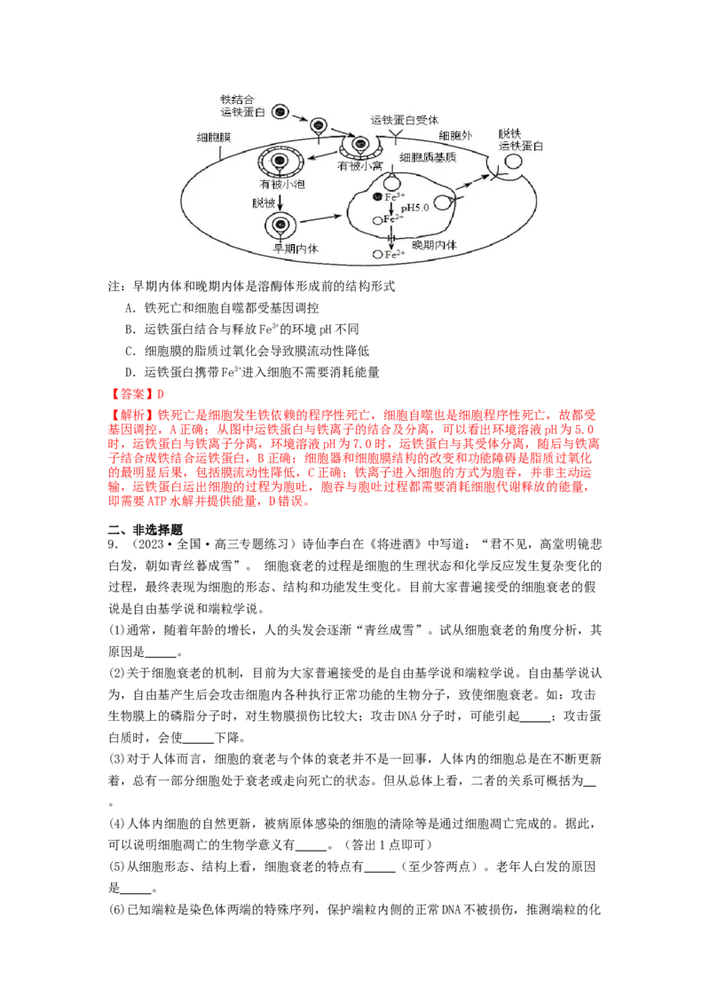 专题11细胞的分化、衰老与死亡（解析版）_2024年新高考资料_1.2024一轮复习_备战2024年高考生物一轮复习抢分特训（全国通用）