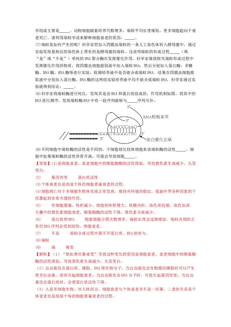 专题11细胞的分化、衰老与死亡（解析版）_2024年新高考资料_1.2024一轮复习_备战2024年高考生物一轮复习抢分特训（全国通用）